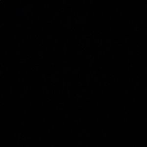 Meet your Posher, Missy